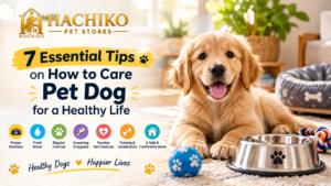 Read more about the article 7 Essential Tips on How to Care Pet Dog for a Healthy Life