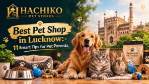 Read more about the article Best Pet Shop in Lucknow: 11 Smart Tips for Pet Parents