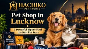 Read more about the article Pet Shop in Lucknow: 7 Powerful Tips to Find the Best Pet Store